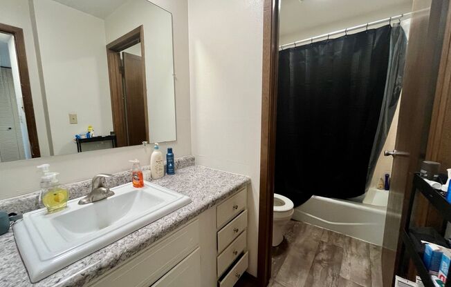 1 bed, 1 bath, $1,025, Unit 41