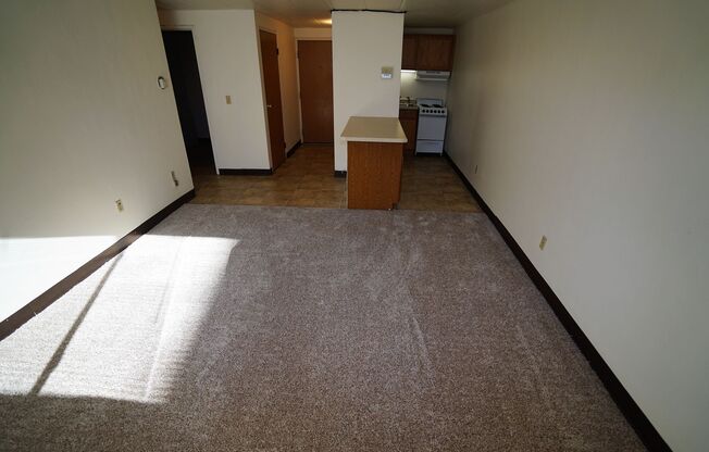 1 bed, 1 bath, $1,100, Unit BG