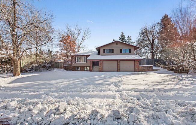 Great 5 Bedroom 3 Bath Home in Central Fort Collins