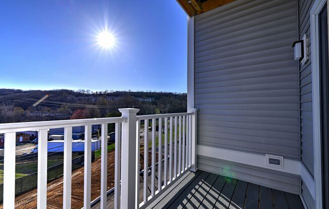 1 bed, 1 bath, 740 sqft, $3,000, Unit Apt 1211