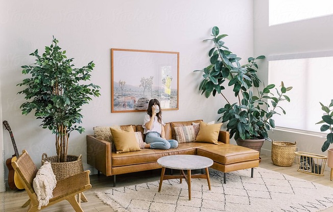 Living Room at Sono Central Residential, Norwalk, CT
