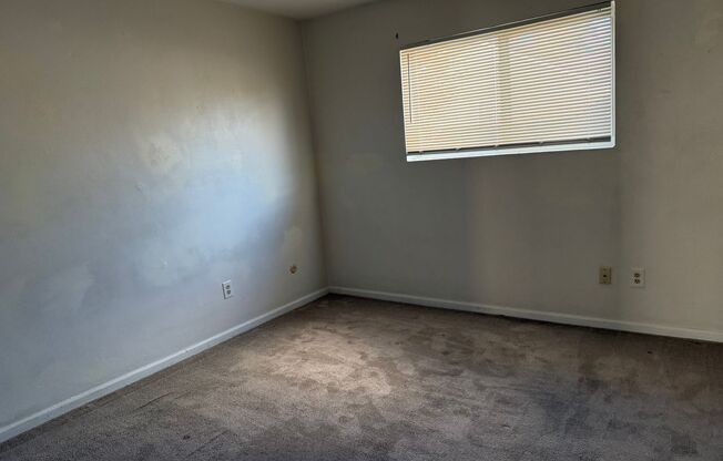 Cute One Bedroom in Norview Heights