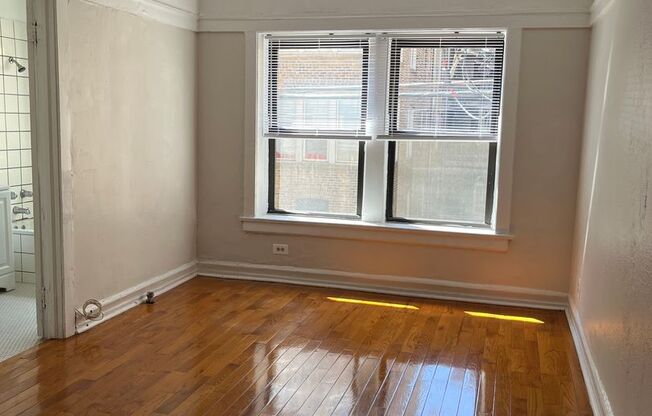 Studio, 1 bath, $1,050, Unit 222
