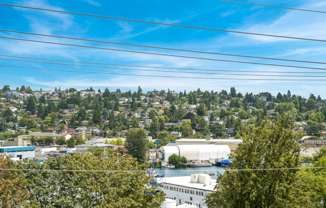 2 Weeks Free! Beautiful 1 bed 1  bath apartment in the heart of Seattle- Schedule a tour now!