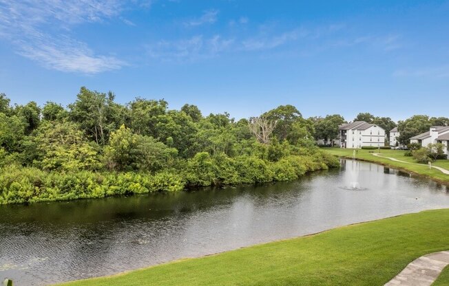 Large river along side the property with large trees