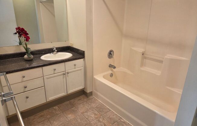 1 bed, 1 bath, 486 sqft, $1,580, Unit 405