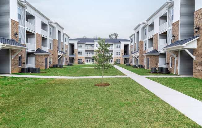 a tree in the middle of a grassy area in front of an apartment building