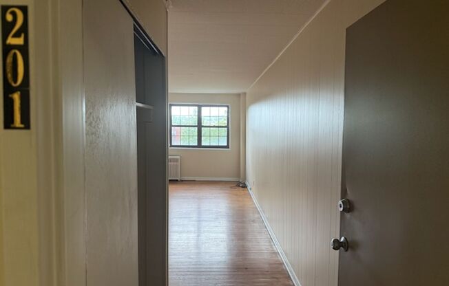 Studio, 1 bath, 487 sqft, $1,300, Unit Fifth 201