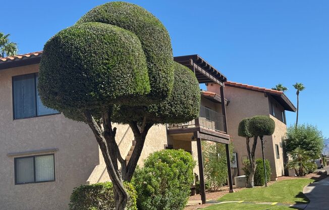 *2BR 2BA Furnished Condominium includes UTILITIES Snowbird Special *