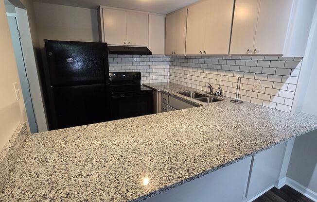 1 bed, 1 bath, 650 sqft, $1,300, Unit 203