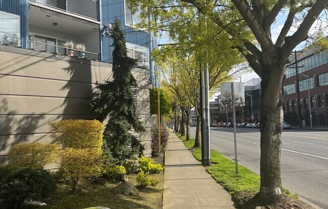 1bd/1ba Seattle Condo