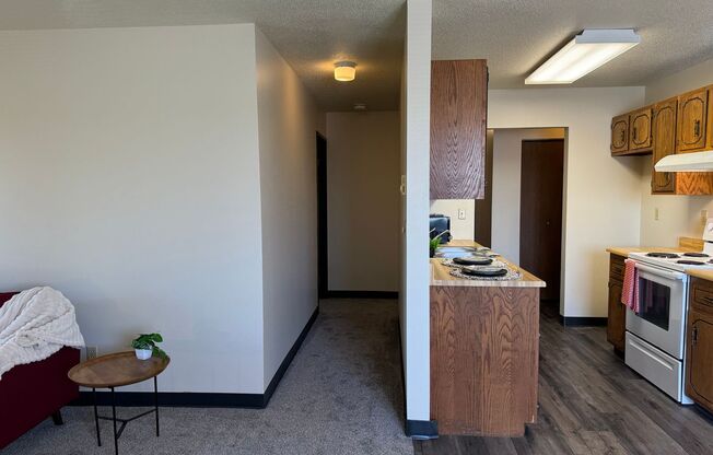 3 beds, 1 bath, 1,100 sqft, $875, Unit 302