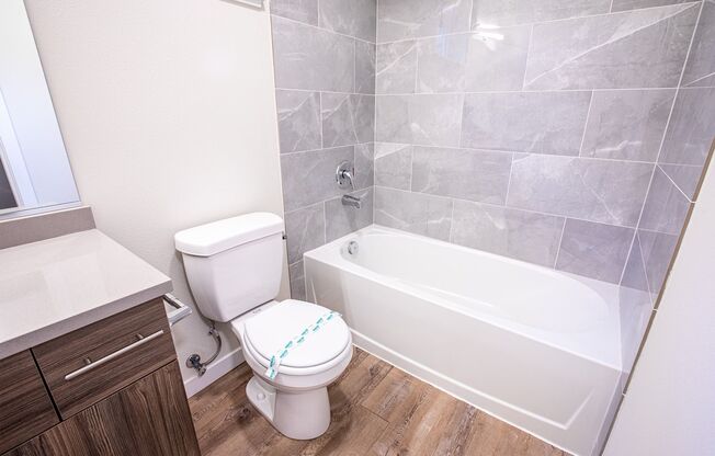 1 bed, 1 bath, 372 sqft, $1,425, Unit 505