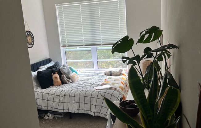 3 beds, 2 baths, 1,006 sqft, $1,800, Unit 500-308
