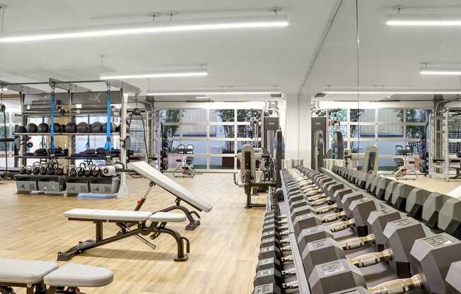 a fully equipped gym with cardio equipment and weights