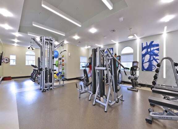Fitness Center Strength and Conditioning Equipment at The Boot Ranch Apartments, Palm Harbor, 34685
