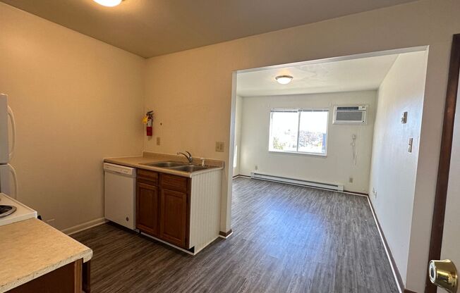 1 bed, 1 bath, 470 sqft, $850, Unit Apt 01