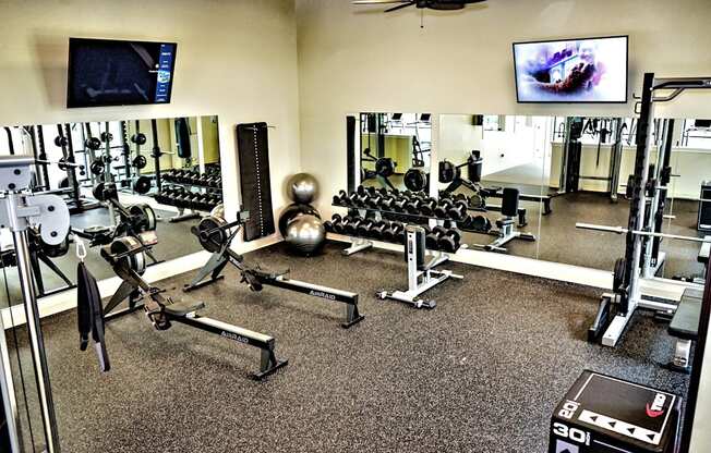 a fully equipped gym with weights and cardio equipment