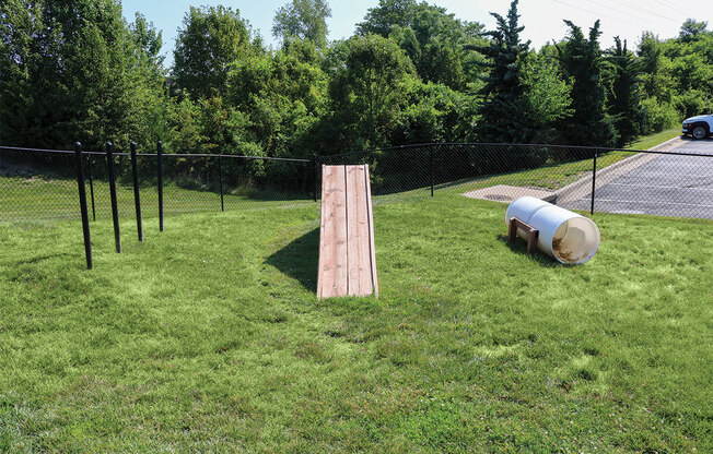 Dog Park