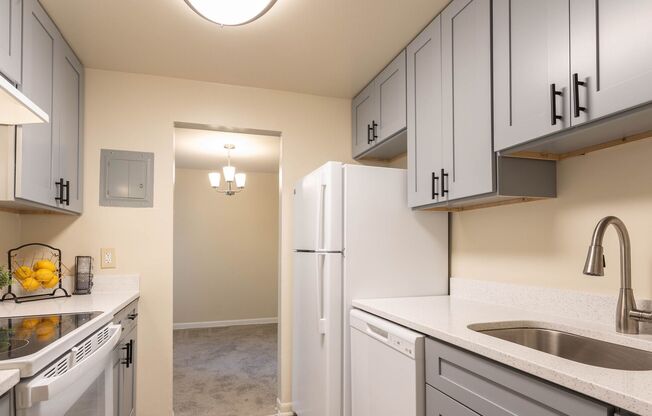 4511 Colony Ct Suite #1203-B