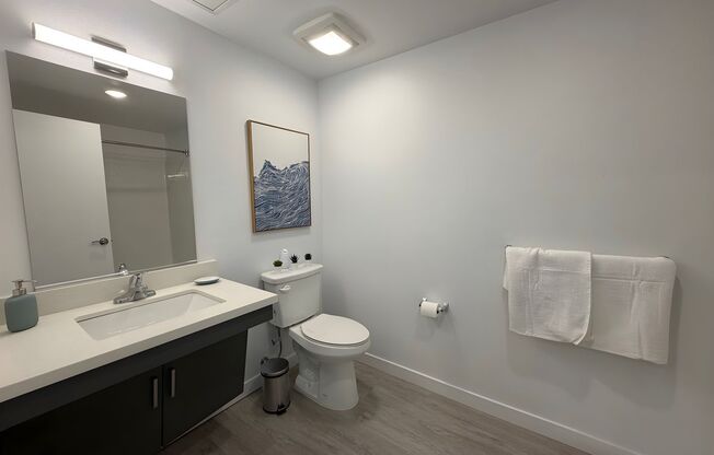 1 bed, 1 bath, 347 sqft, $1,263, Unit 103a