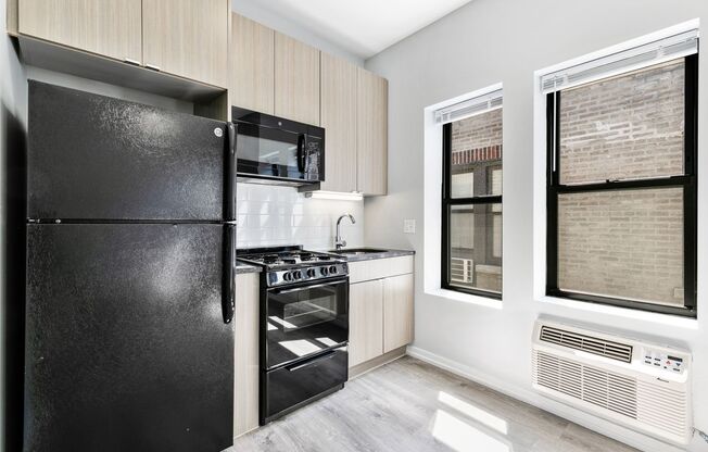 Studio, 1 bath, 219 sqft, $1,350, Unit 412