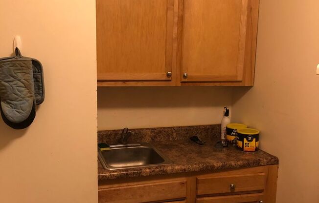 Studio, 1 bath, 295 sqft, $890, Unit B7