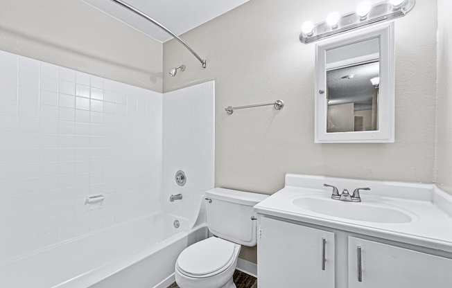 Updated Bathroom with Vanity