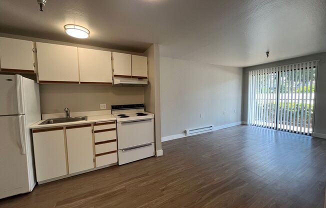 Studio, 1 bath, 480 sqft, $1,450, Unit 228