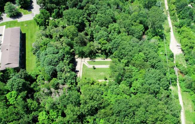Dog Park