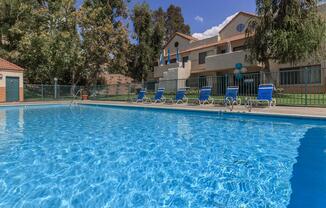a group of people swimming in a pool of water