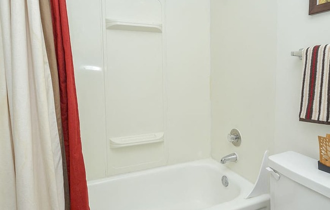 Classic Bathroom Shower Style