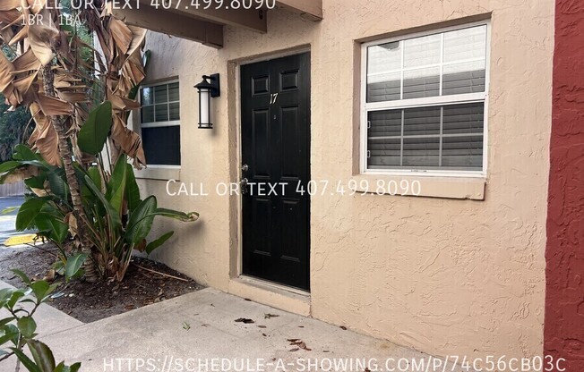 2505 E. Central Blvd.