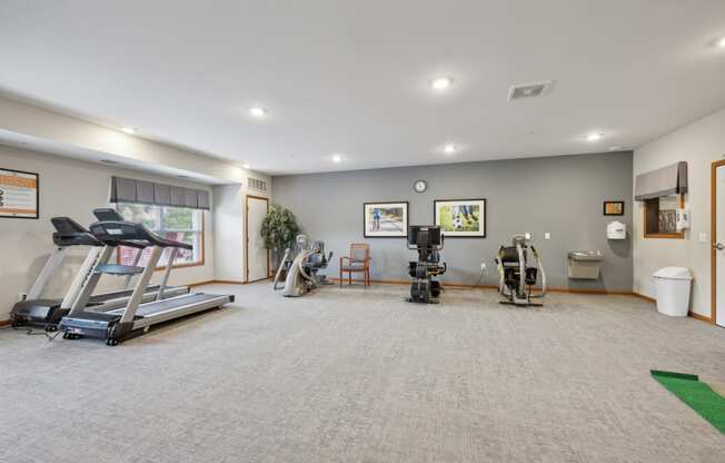 the gym with treadmills and weights in a home gym with a large window