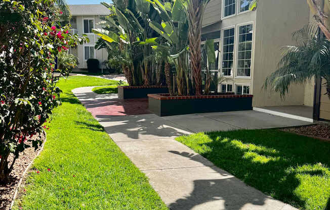 Campbell Plaza Apartments
710 Nido Drive, Campbell, CA 95008. A pathway leads through a landscaped area with a building in the background.