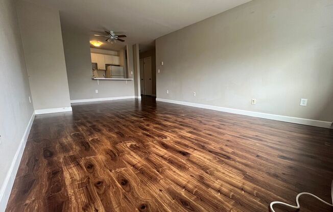 1 bed, 1 bath, $1,095, Unit 317