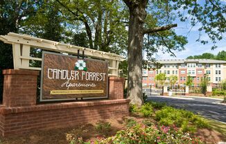 Candler Forrest Apartments