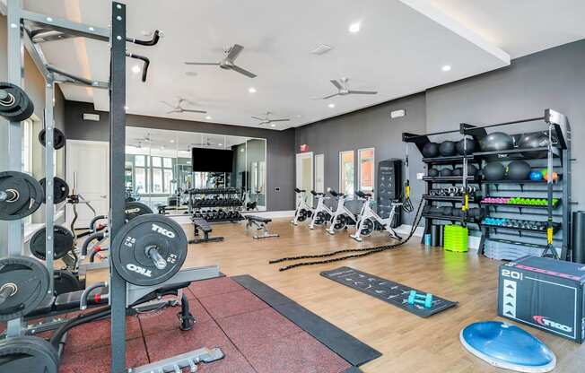 AA Gym With Weights at The Aster Apartments, Cary, NC