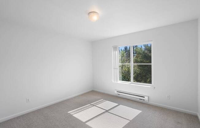 a white room with a window and carpet