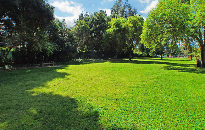 Woodbridge park - an enormous dog-friendly park - is directly accessible from the apartment courtyard!