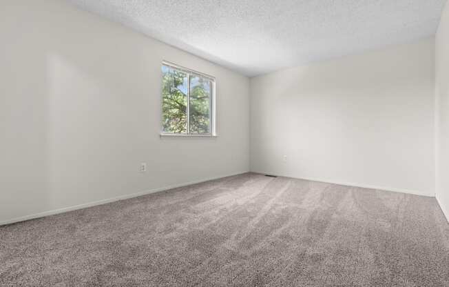 an empty room with carpet and a window