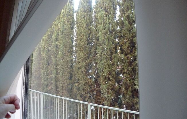 2 beds, 2 baths, 910 sqft, $2,450, Unit 308