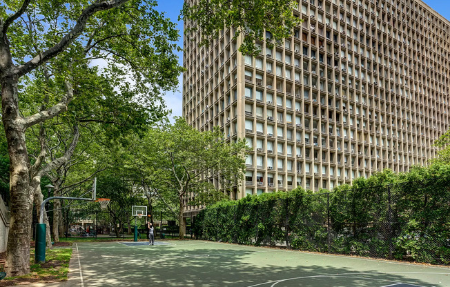 Studio, 1 bath, 550 sqft, $3,900, Unit 5D