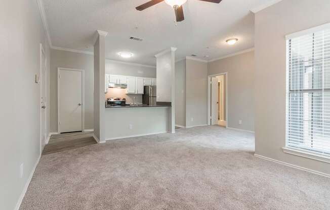 Open living room & kitchen area