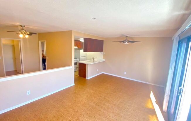 1 bed, 1 bath, 600 sqft, $2,195, Unit 19