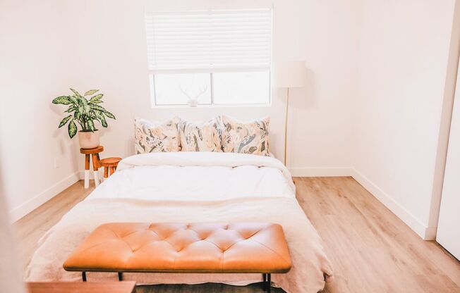 Haven Rio | Boutique Living in Mesa