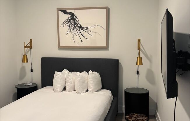 1 bed, 1 bath, 519 sqft, $2,199, Unit 309