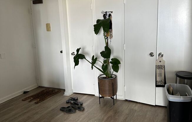 2 beds, 2 baths, $3,500