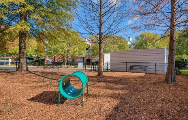 Bark Park with obstacles