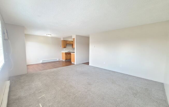 2 beds, 1 bath, $1,095, Unit 303